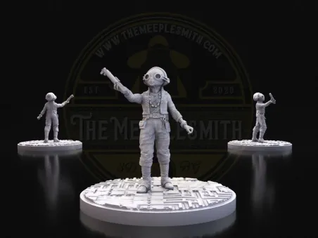 Mazora Kin – Miniature inspired by Maz Kanata
