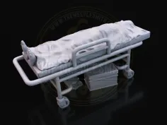 Cadáver Cubierto en Camilla V2 – Brote Hospitalario 2