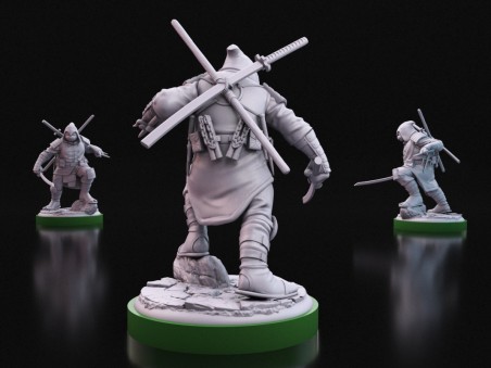 Tortuga Ronin