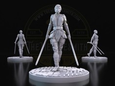 Asesina de las Dos Sables Oscuros – Guerrera de Doble Espada