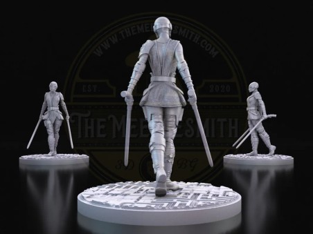 Dark Twin-Blade Assassin – Dual Saber Warrior