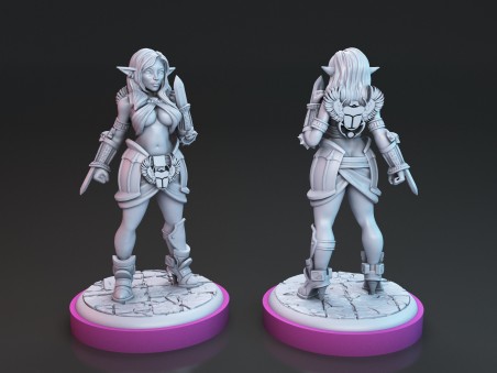 Valeen and Itaka The Elven Rogues miniatures