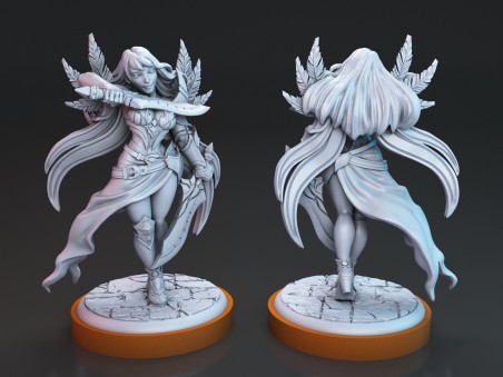 Valeen and Itaka The Elven Rogues miniatures