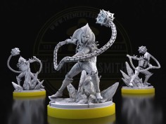 Chain Mace Warrior