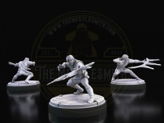 Fortune Blades – Miniatura de Guerrero Cósmico
