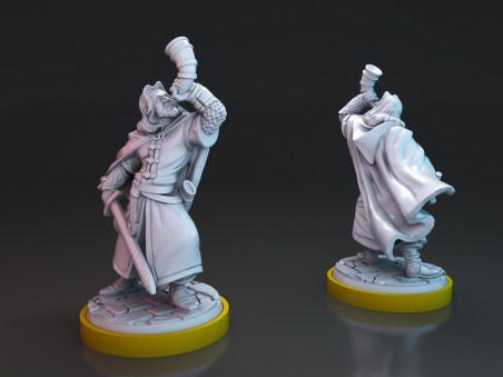 The Fallen Warrior miniature