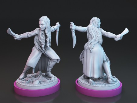 The Elves Against the Shadows miniatures
