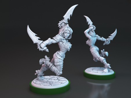 Brakha the Rogue Slayer miniature