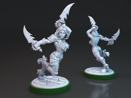 Brakha the Rogue Slayer miniature