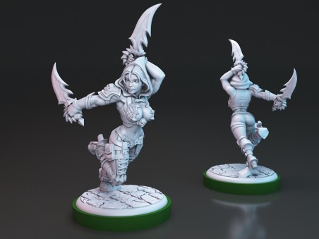 Brakha the Rogue Slayer miniature