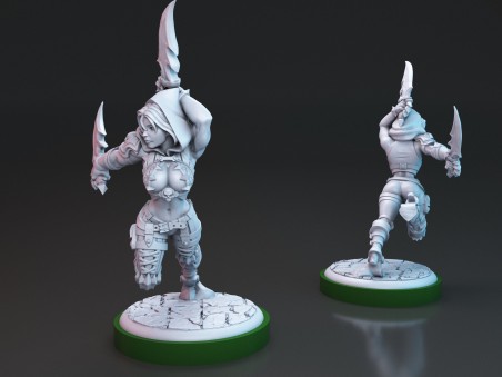 Brakha the Rogue Slayer miniature