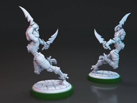 Brakha the Rogue Slayer miniature