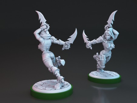 Brakha the Rogue Slayer miniature