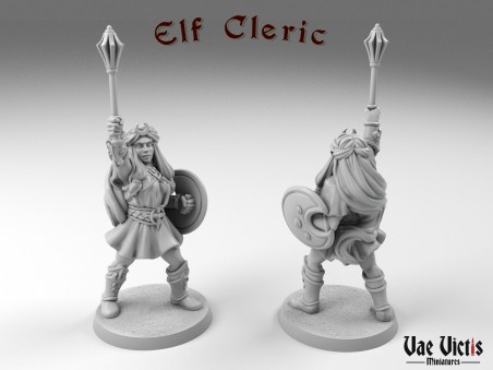 The Clerics Multiclass miniatures