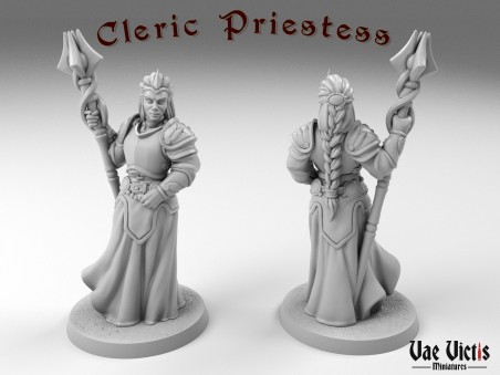 The Clerics Multiclass miniatures