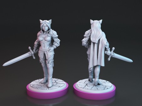 Ambar and Destiny the Swordwomans miniatures