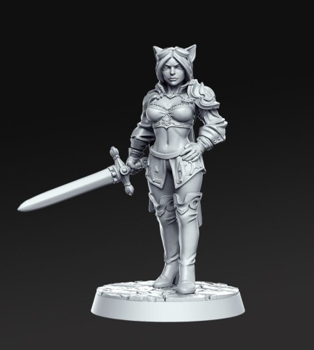Ambar and Destiny the Swordwomans miniatures