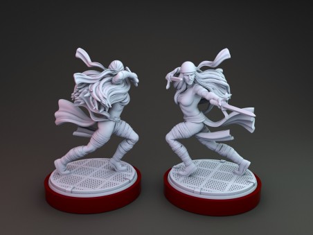 Elektrica miniature