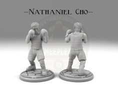 Miniatura del Boxeador