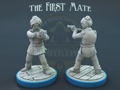 Miniatura de Primer Oficial de la Tripulación Enigmática