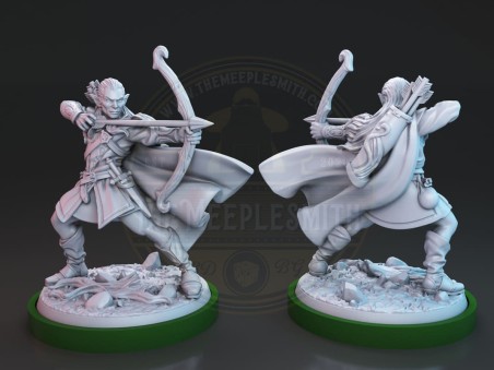 The Heroes Against the Shadows miniatures