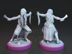 Miniatura de la Dama Elfa