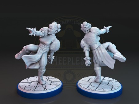 Shaldim VS Chulin fighting miniatures