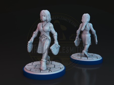 Xonia VS Tirana fighting miniatures