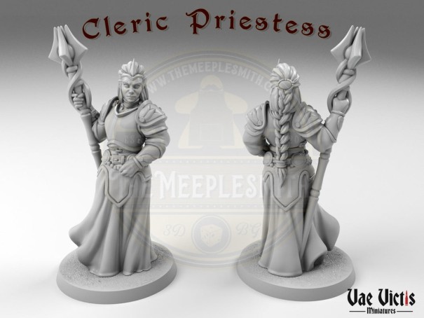 The Cleric Priestess miniature