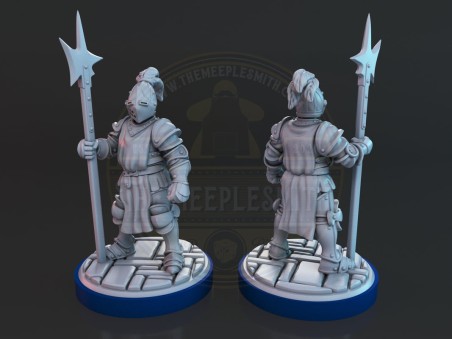 Miniaturas de caballeros