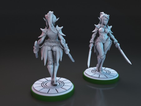 Dark Elf Mariya miniature