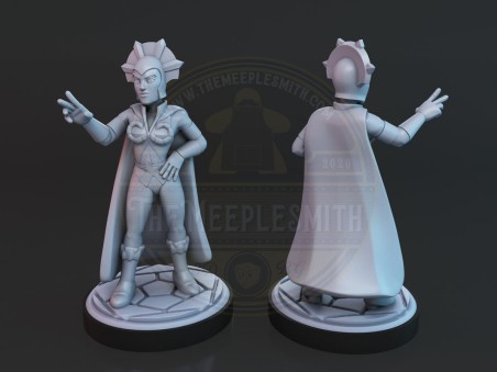 Skeletor and villains miniatures
