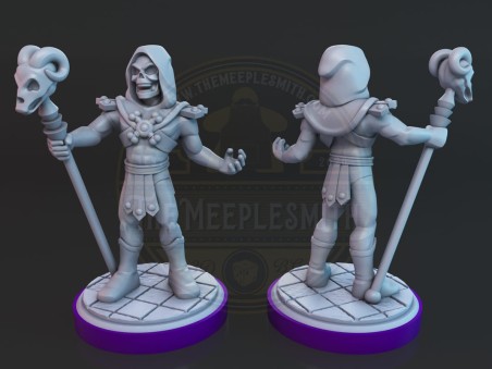 Skeletor and villains miniatures
