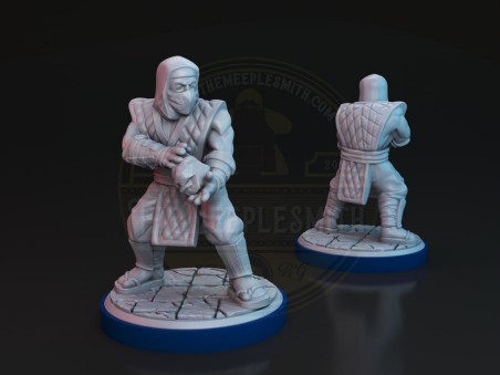 Freezer VS Toro fighting miniatures