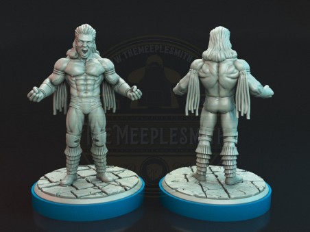 Hulk Hogan and Ultimate Warrior WWE miniatures