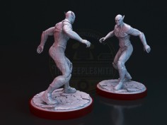 Miniatura Flash V.2 2