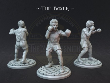 Miniatura del Boxeador V.2