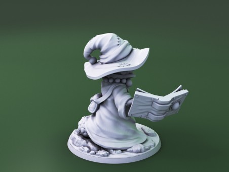 Curious Critters of Whimsy Isle. "The Wizard" miniature
