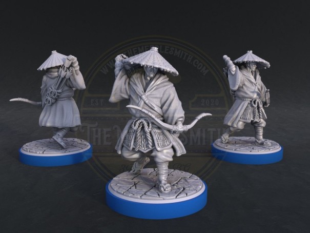 Arqueros Ronin de Tokugawa