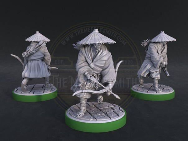 Arqueros Ronin de Tokugawa