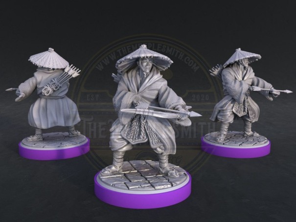 Arqueros Ronin de Tokugawa