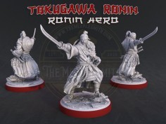 Héroe Ronin Tokugawa