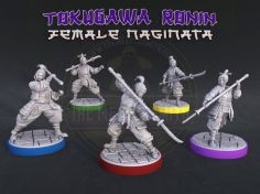 copy of Dungeons and Dragons cartoon miniature Pack