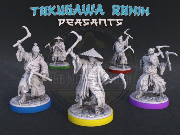 Tokugawa Ronin Peasants