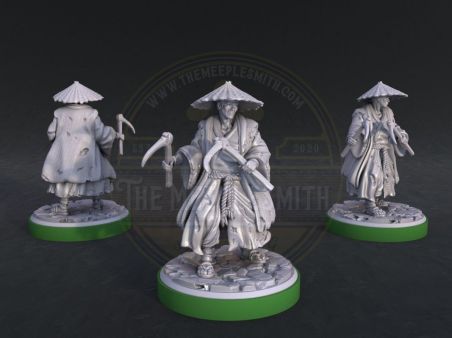 Tokugawa Ronin Peasants