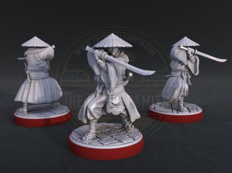 Tokugawa Ronin Swordmen