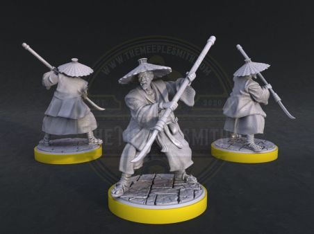 Tokugawa Ronin Spearmen