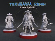 Campeón Tokugawa