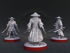 Campeón Tokugawa 2