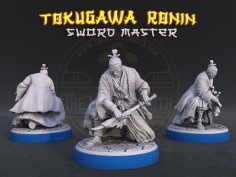 Maestro de Espadas Tokugawa